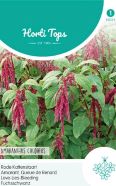 Love Lies Bleeding Red Seed
